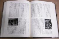 香北町史　(高知県香美郡香北町)　平成18年版