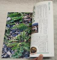 とさのかぜ VOL.7　音の号  （中島豊/季節からの電話・浜あざみ/去りゆく技・三味線 料亭臨水/この町・吾川郡清水程野 その他）