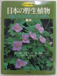 日本の野生植物 : 草本　(フィールド版)