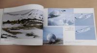 雷鳥 : 日本アルプスに生きる 水越武写真集