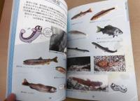 面河川の生物と自然観察　(愛媛県面河村)