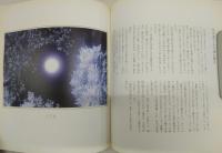 地球美の幻風景：桐野伴秋の世界