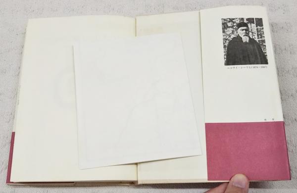 ヒマラヤに魅せられたひと ニコライ・レーリヒの生涯(加藤九祚) / 古本、中古本、古書籍の通販は「日本の古本屋」 / 日本の古本屋