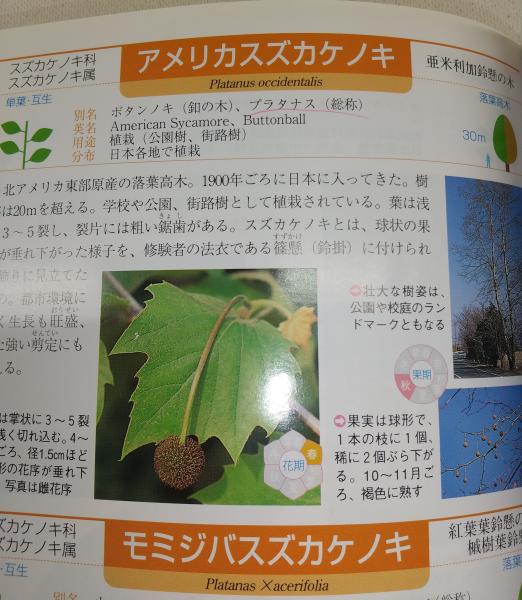 葉で引く 四国の樹木観察図鑑」 高知新聞社