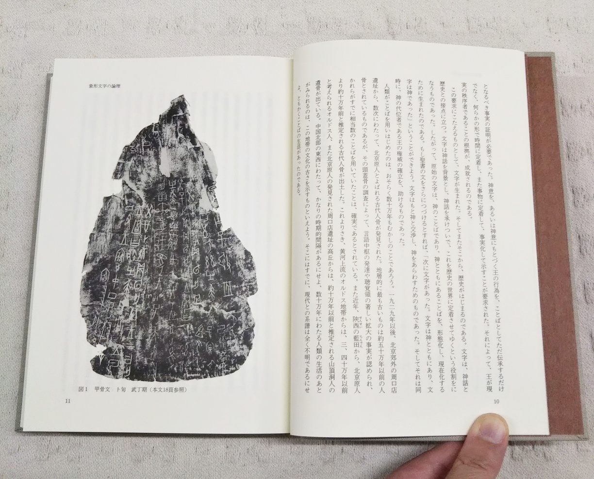 白川静著作集 本巻1～12巻 全12巻揃い(白川静) / 古本、中古本、古書籍