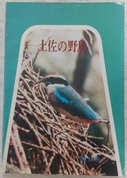 土佐の野鳥