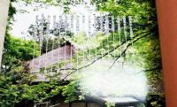 黄門さまのこと : 徳川光圀