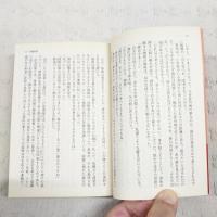 高麗秘帖 : 朝鮮出兵異聞 : 李舜臣将軍を暗殺せよ : 長編時代伝奇小説