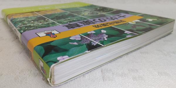 土佐の薬草 : 図鑑&薬効 | 木戸慎蔵, 稲垣典年 著 | 高知新聞社 | ¥880