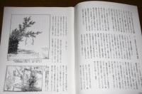 民具マンスリー第33巻７号　(てるてるぼうず考・序説…他)