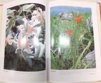 土佐の花 : 牧野植物園創立30周年記念