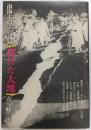 裂けた大地 : 南海大震災の記録