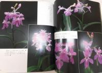 ウチョウラン写真集　栽培法付