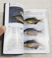 タナゴポケット図鑑 : フィールド写真で解説見分け方から一緒に釣れる魚まで