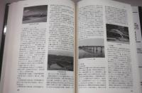 四国のいのち　吉野川事典 : 自然・歴史・文化