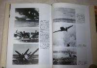 ドイツ空軍の終焉 : 西部戦線ドイツ戦闘機隊、最後の死闘