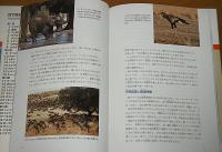 南アフリカ