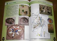 田村遺跡群 : 発掘からみる土佐の歴史