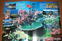 宿毛　隠岐の島　(高知県)　観光パンフレット