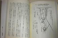 幻のポートモレスビー　(元第2総軍参謀　陸軍中佐　長谷川壽雄・著)