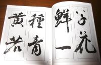 手島右卿大観　臨書篇　全30巻揃い　＜第1期(全10巻)　第2期(全10巻)　第3期(全10巻)＞