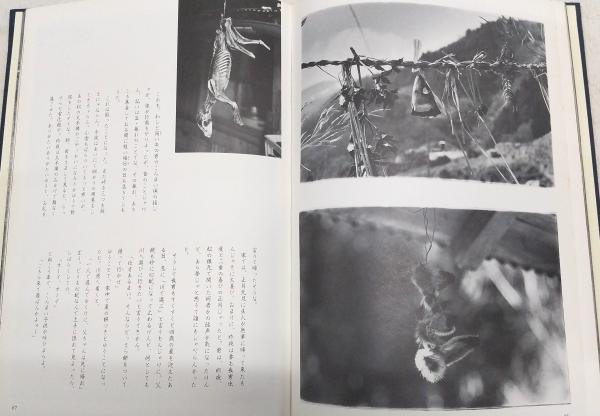 津野山郷 : 四万十川源流の里 武吉孝夫写真集(武吉孝夫 著) / 古本