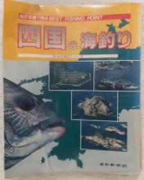 四国の海釣り : 航空写真で見るbest fishing point
