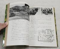 私たちの森林