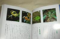 対馬の自然　対馬の自然と生きものたち
