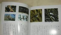 対馬の自然　対馬の自然と生きものたち