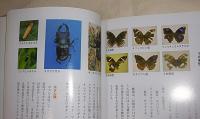 対馬の自然　対馬の自然と生きものたち