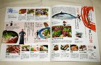 こうちじん　高知県観光パンフレット