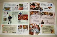 こうちじん　高知県観光パンフレット