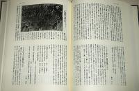 芸能文化史辞典