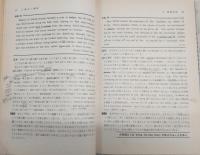 速解英文解釈