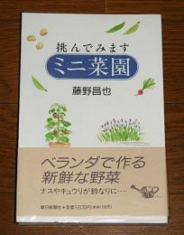 挑んでみます　ミニ菜園