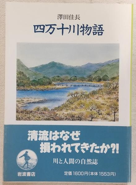 源田の剣 : 第三四三海軍航空隊 : 米軍が見た「紫電改」戦闘機隊