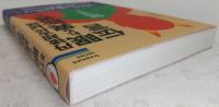 眠れる異能者への伝言 : 丹後超古代秘話