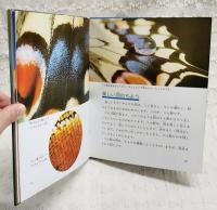 アゲハチョウ