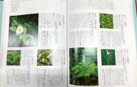 お茶人のための茶花野草大図鑑