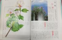 お茶人のための茶花野草大図鑑