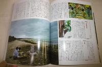 沖縄いろいろ事典
