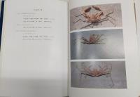室戸産海岸動物図鑑