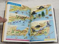 地球の図鑑 : 付岩石・鉱物