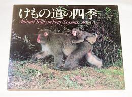 けもの道の四季