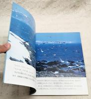 海鳥の島
