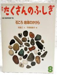 石ころ地球のかけら