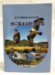 日下川調整池（めだか池）　池にあつまる野鳥図鑑