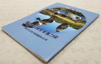 日下川調整池（めだか池）　池にあつまる野鳥図鑑