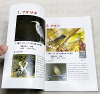 日下川調整池（めだか池）　池にあつまる野鳥図鑑